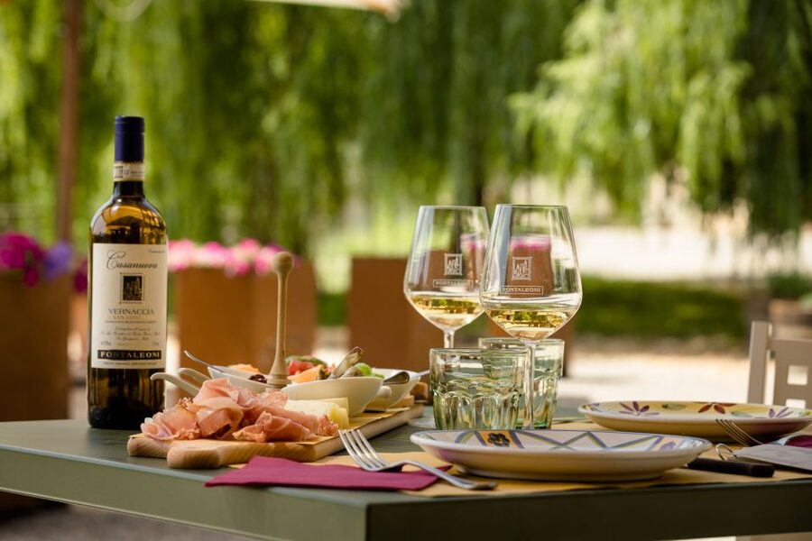 San Gimignano: Winery Tour with Wine Tasting and Lunch - Walking Through the Cellar: Where Winemaking Gets Real