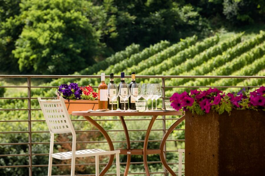 San Gimignano: Winery Tour with Wine Tasting and Lunch - The Vineyard Stop: Seeing the Grapes That Drive the Flavor