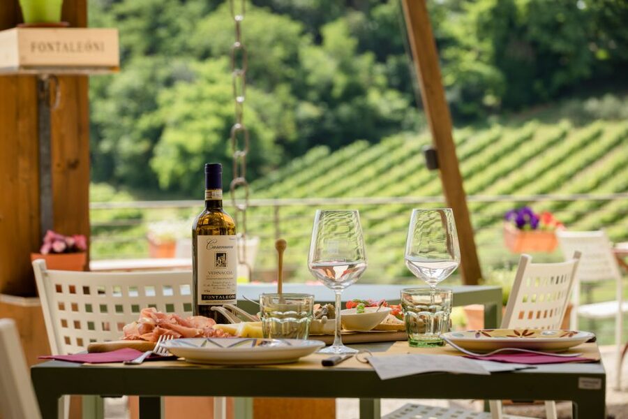 San Gimignano: Winery Tour with Wine Tasting and Lunch - Meeting Point Timing: Be Sharp or You’ll Miss It