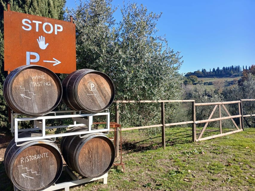San Gimignano: Winery Visit with Picnic in Olive Grove - What’s included in the picnic basket (and what to expect from it)