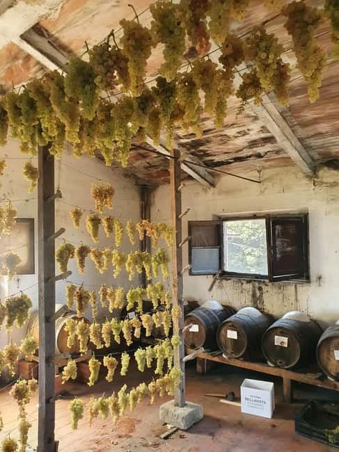 Scandicci: Bellavista Wine Tasting Experience - Food on the side: local delicacies and why it makes the tasting better
