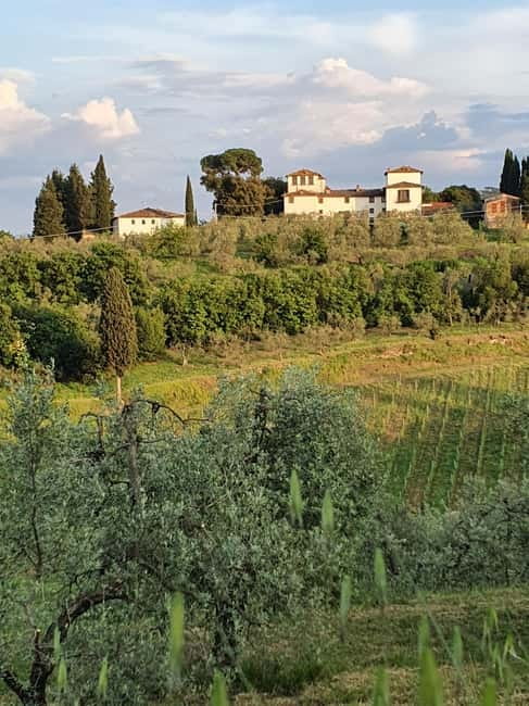 Scandicci: Bellavista Wine Tasting Experience - Price and value: what $65 buys you in real learning time