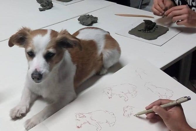 Sculpt to Florentine Pet - Sculpting technique taught in English, with a real focus on form