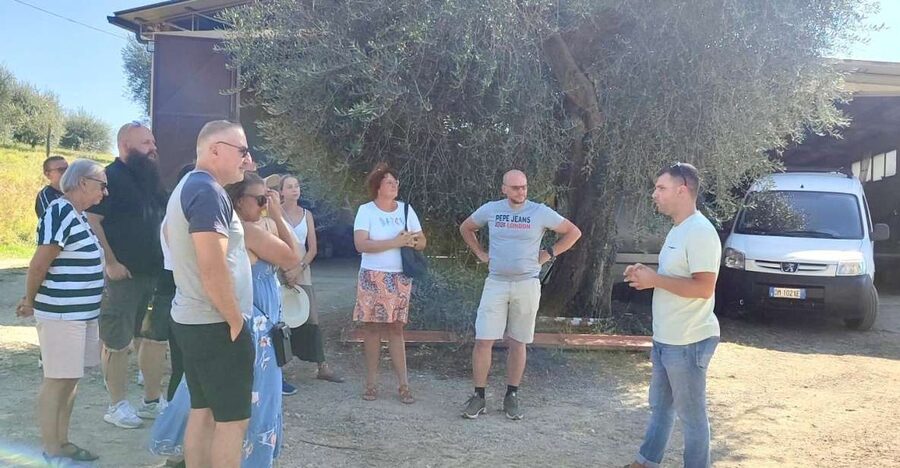 Seggiano: Typical Tuscan Farm Tour with Olive Oil Tasting - The production process: from olives to extra virgin oil