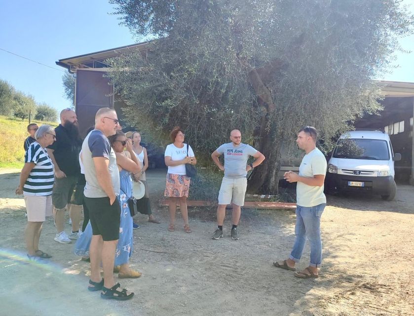 Seggiano: Typical Tuscan Farm Tour with Olive Oil Tasting - Inside the cellar and equipment: why this part changes your shopping