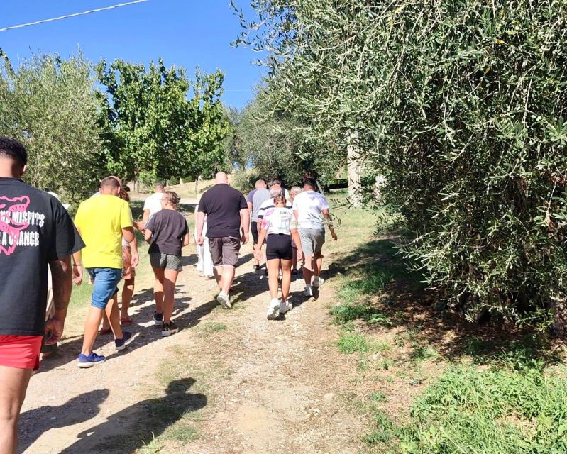 Seggiano: Typical Tuscan Farm Tour with Olive Oil Tasting - Value check: is $53 for a 2-hour olive oil tour worth it?