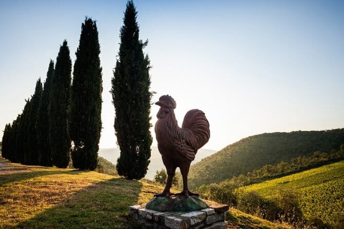 Semi Private Deep Wine Chianti and San Gimignano from Florence - Key moments worth aiming for