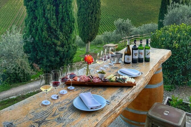 Semi Private Deep Wine Chianti and San Gimignano from Florence - San Gimignano: towers, a walled-town walk, and time for gelato