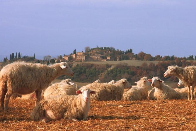 Semi-Private Gluten-Free Cooking Class in Florence - Gluten-Free and Celiac Safety: What to Expect