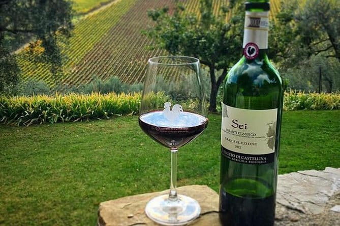 Siena and Chianti Wineries Excursion by Private Luxury Van from Florence - Key highlights worth planning around