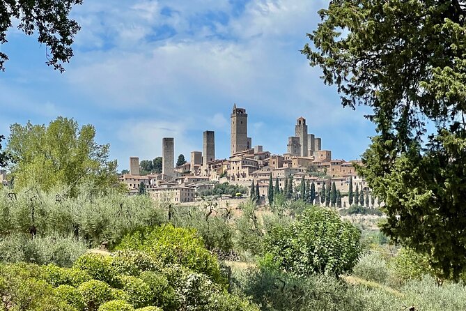 Siena and San Gimignano Tour from Florence - Stop 4: San Gimignano—14 towers, free roaming, and gelato time