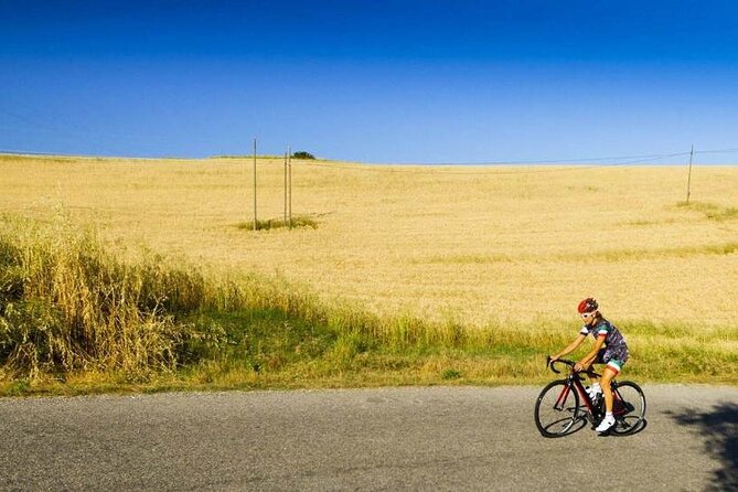 Siena: Chianti Countryside Guided Bike Tour and Light Lunch - Stop 3: San Gimignano with time to admire its monumental presence