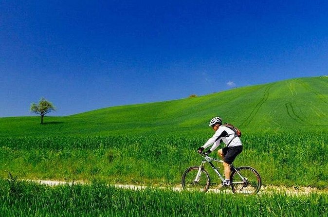 Siena: Chianti Countryside Guided Bike Tour and Light Lunch - Stop 4: Strada Statale 222 Chiantigiana for a long ride through the hills