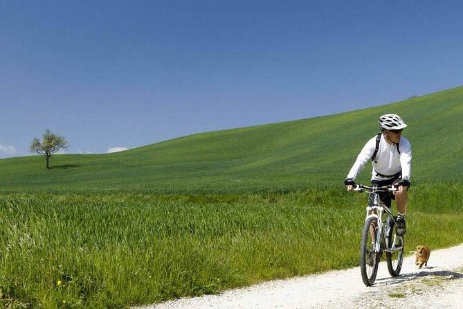 Siena: Chianti Countryside Guided Bike Tour and Light Lunch - Lunch and wine tasting: the built-in break that keeps the day fun