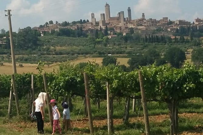 Siena Monteriggioni San Gimignano with Lunch&WineTasting Fullday from Florence - Tenuta Torciano Wine Tasting and Light Lunch in the Hills