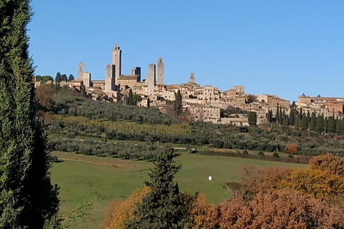 Siena Monteriggioni San Gimignano with Lunch&WineTasting Fullday from Florence - San Gimignano: One Hour in the Town of Fine Towers