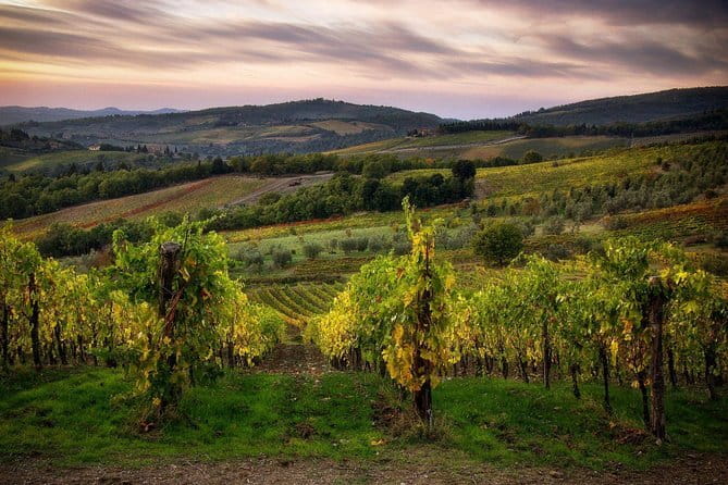 Sightseeing Tuscany by touring bike - 1 day rental - Getting Out of Florence Quickly (So the Day Feels Like Tuscany)