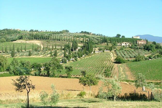 Sightseeing Tuscany by touring bike - 1 day rental - The Uphill Reality Check: Plan for Backroads, Not Flat City Riding