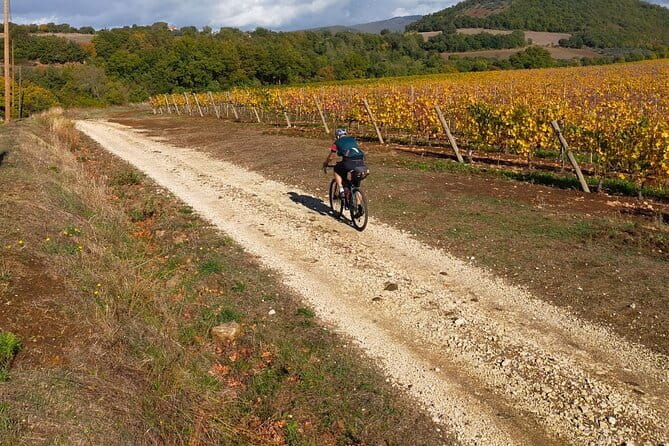Sightseeing Tuscany by touring bike - 1 day rental - Olive Oil Groves, Wineries, and Why Tastings Are the Point