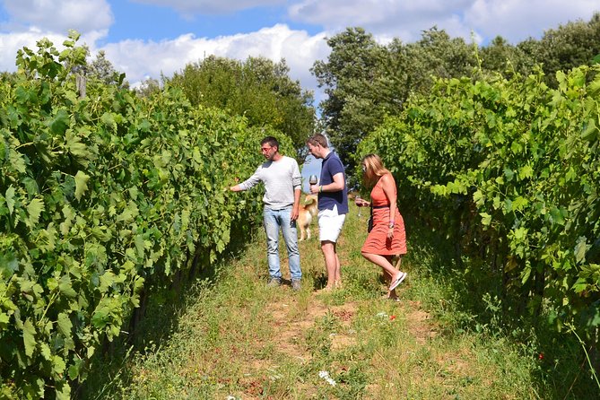 Small-Group Brunello Wine Tour of Montalcino from Florence - Price and Value: $433.48 for Two Tastings, Lunch, and a Tight Group