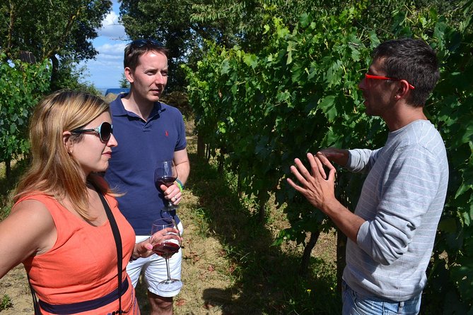 Small-Group Brunello Wine Tour of Montalcino from Florence - Timing, Comfort, and Practical Tips for a 9-Hour Brunello Day