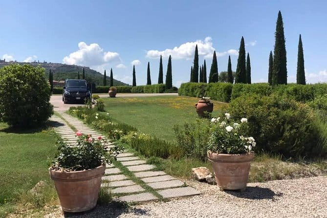 Small group Chianti-side wine tour with Mercedes V class Van - Key highlights that matter