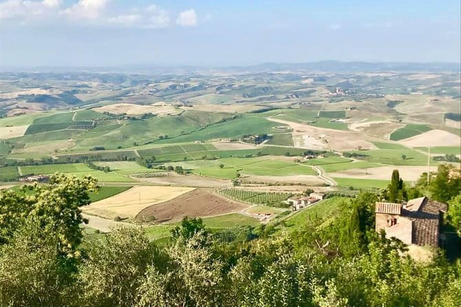 Small group Chianti-side wine tour with Mercedes V class Van - Mercedes V-Class comfort (and why it changes the day)