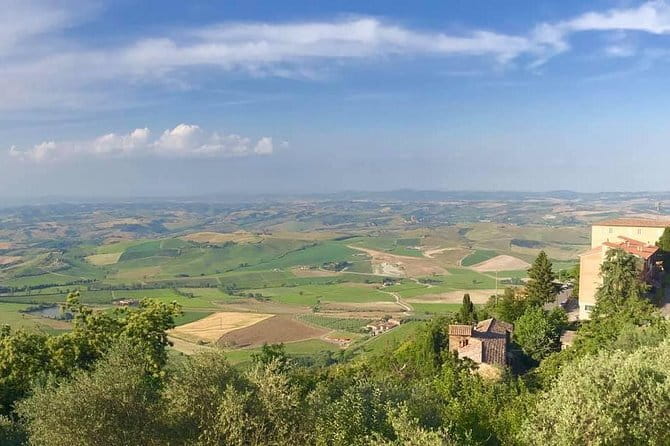 Small group Chianti-side wine tour with Mercedes V class Van - Casa Emma: a tasting stop with snack pairing