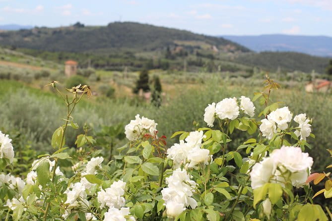 SMALL GROUP Chianti Tradition wine tour (max 8 pp) - Key Highlights Worth Marking on Your Map