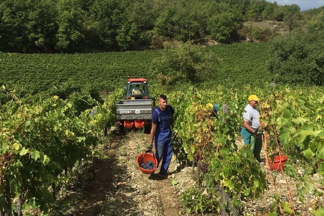 Small Group Chianti Wine Tasting with Seven Tuscan Wines - Fattoria San Pancrazio: a private 12th-century villa setting