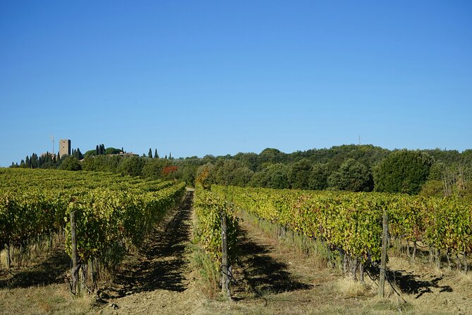 Small Group Tuscany Tour Montepulciano, Montalcino and Cortona - A Tuscany day that keeps moving (but doesn’t feel rushed)