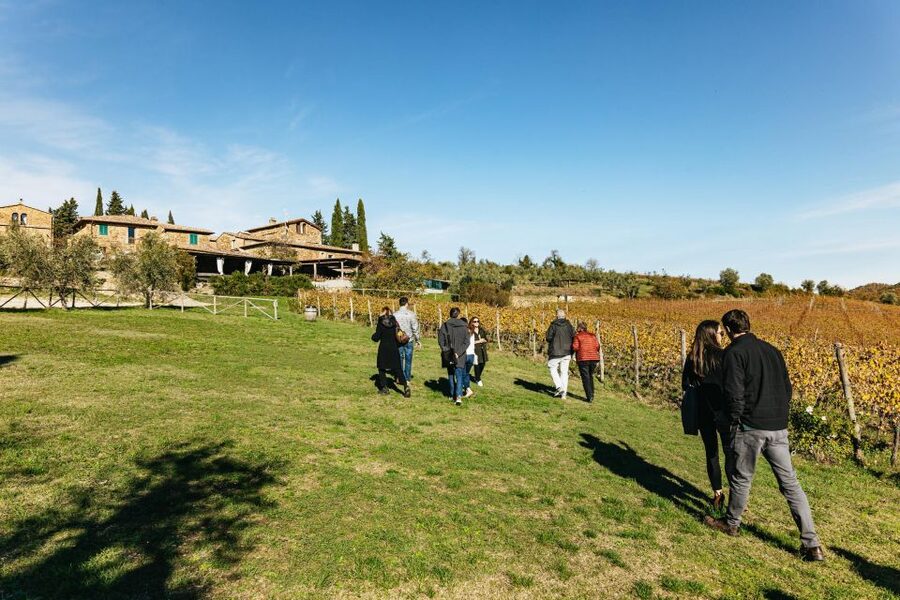 SMALL GROUP Tuscany Wine Tasting Safaris with Lunch / Dinner - Off-road vineyard driving: the bumpy road that makes the story stick