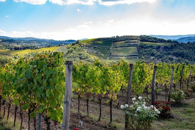 SMALL-GROUP Wine Safaris: Tuscan Wine Tasting Tours from Florence - A Real 4x4 Wine Safari From Florence (Not Just Another Tasting Day)