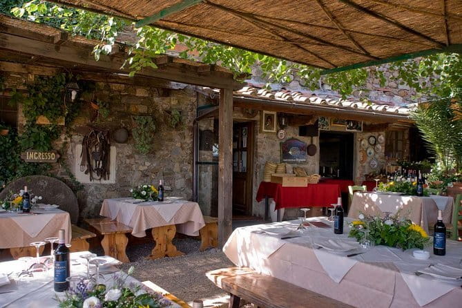 SMALL-GROUP Wine Safaris: Tuscan Wine Tasting Tours from Florence - Price and Value for a 7–10 Hour Tuscan Day