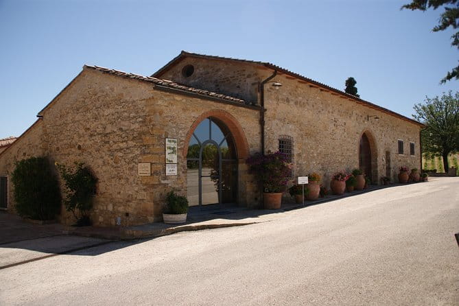 Small-Group Wine Tasting Experience in the Tuscan Countryside - Stop One in Chianti Classico: Vineyard Tour, Production Rooms, Barrel Time