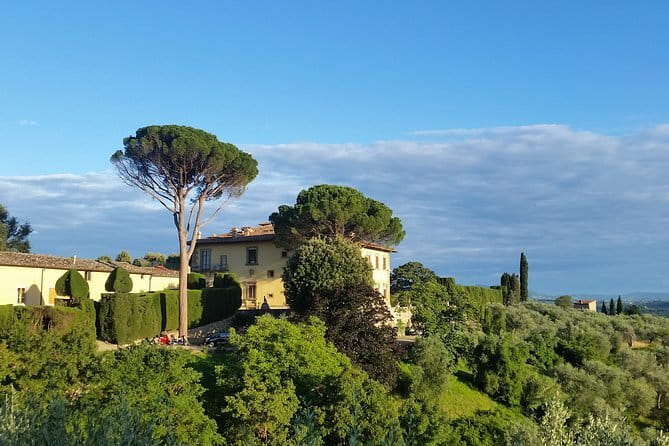 Small Group Wine Tasting in Tuscany with Vineyard Visit - Small-group comfort: why up to 10 matters