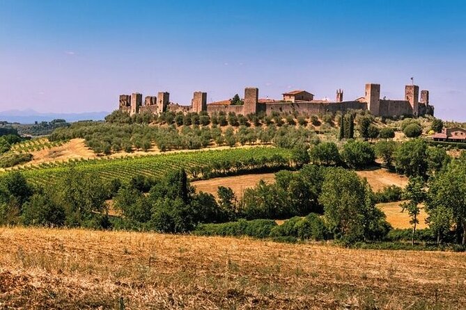 Special Chianti Afternoon Wine Tour from Florence - Group tour logistics: comfort, pacing, and staying sane in a small group