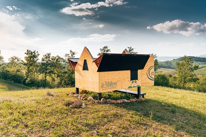 Stellar PicNic: Delight at sunset in the Tuscan countryside - Where it all starts: Fattoria La Maliosa and a private countryside reset