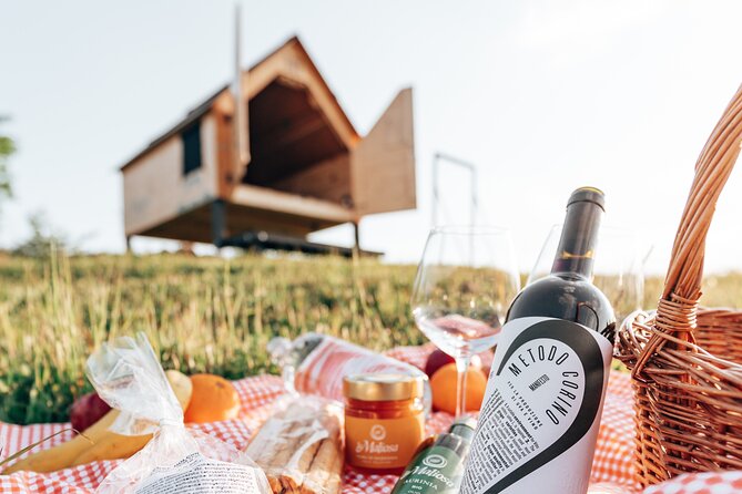 Stellar PicNic: Delight at sunset in the Tuscan countryside - Podere Santa Francesca: meadows, relaxation space, and that first view