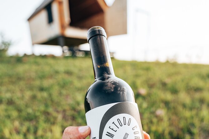 Stellar PicNic: Delight at sunset in the Tuscan countryside - Price and value: what $104 really buys you
