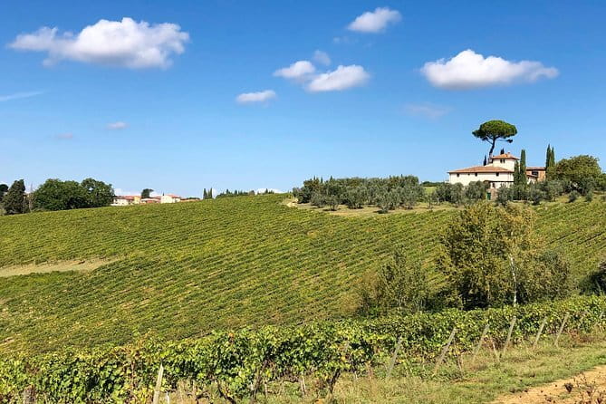 Sunset VIP Chianti wine tour - Getting From Florence to the Vineyards: What’s Included