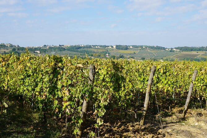 Super Chianti 2 wineries & meat feast @ Dario Cecchini—max 8 pp - Why this Chianti day feels easy from Florence