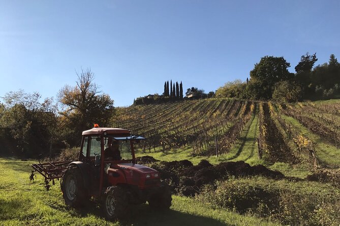 Super Tuscan & IGT wines, Evo Oil & Balsamic Vinegar Tasting - The Wine Tastings: Super Tuscans and IGT in a Guided Flow
