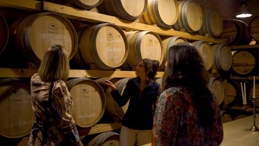 Taste Chianti, Montalcino & Montepulciano – Minivan Day Tour - Who this Chianti–Montalcino–Montepulciano minivan day suits best