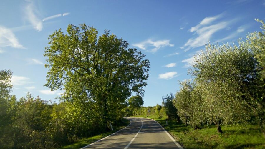 Taste Chianti, Montalcino & Montepulciano – Minivan Day Tour - Chianti Hills tasting: olive oil, Vin Santo, and countryside photo stops
