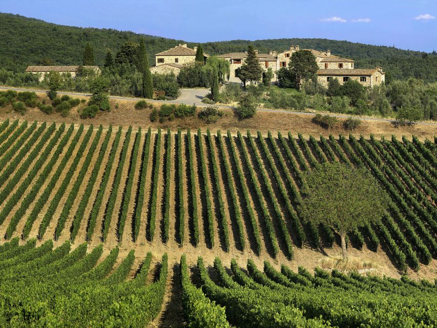 Taste Chianti, Montalcino & Montepulciano – Minivan Day Tour - What’s included (and what might cost extra)