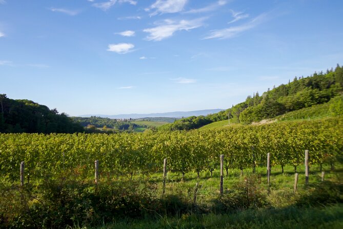 The best of Chianti Classico Wine Private Tour with Dinner in a boutique Estate - 3:30 p.m. Pickup From Florence: Comfort, Wi‑Fi, and the Via Chiantigiana drive