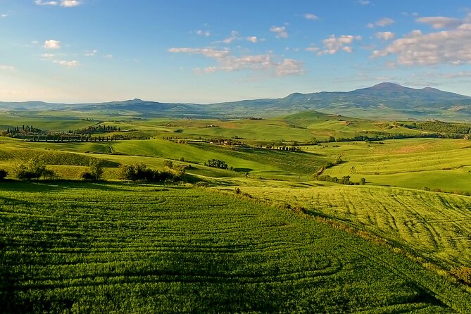 The best of Chianti Classico Wine Private Tour with Dinner in a boutique Estate - How much wine you’ll taste (and how to pace it)