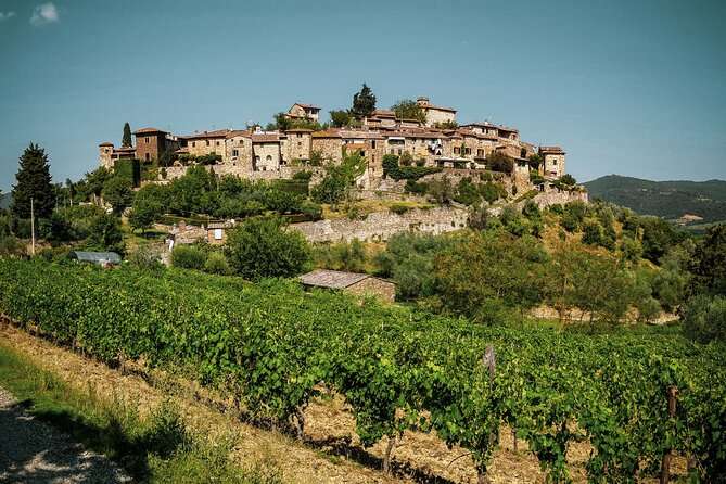 The best of Chianti Classico Wine Private Tour with Dinner in a boutique Estate - Price and value at $639.88 per person: why private changes the math