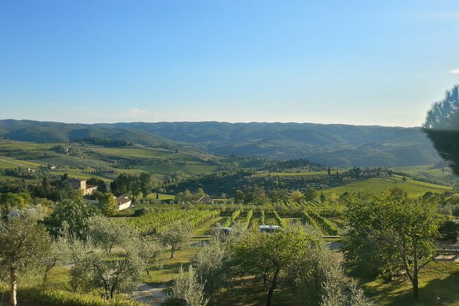 The best of Chianti Classico Wine Private Tour with Dinner in a boutique Estate - Practical tips for your Chianti day: what to wear, what to expect, and how to set expectations
